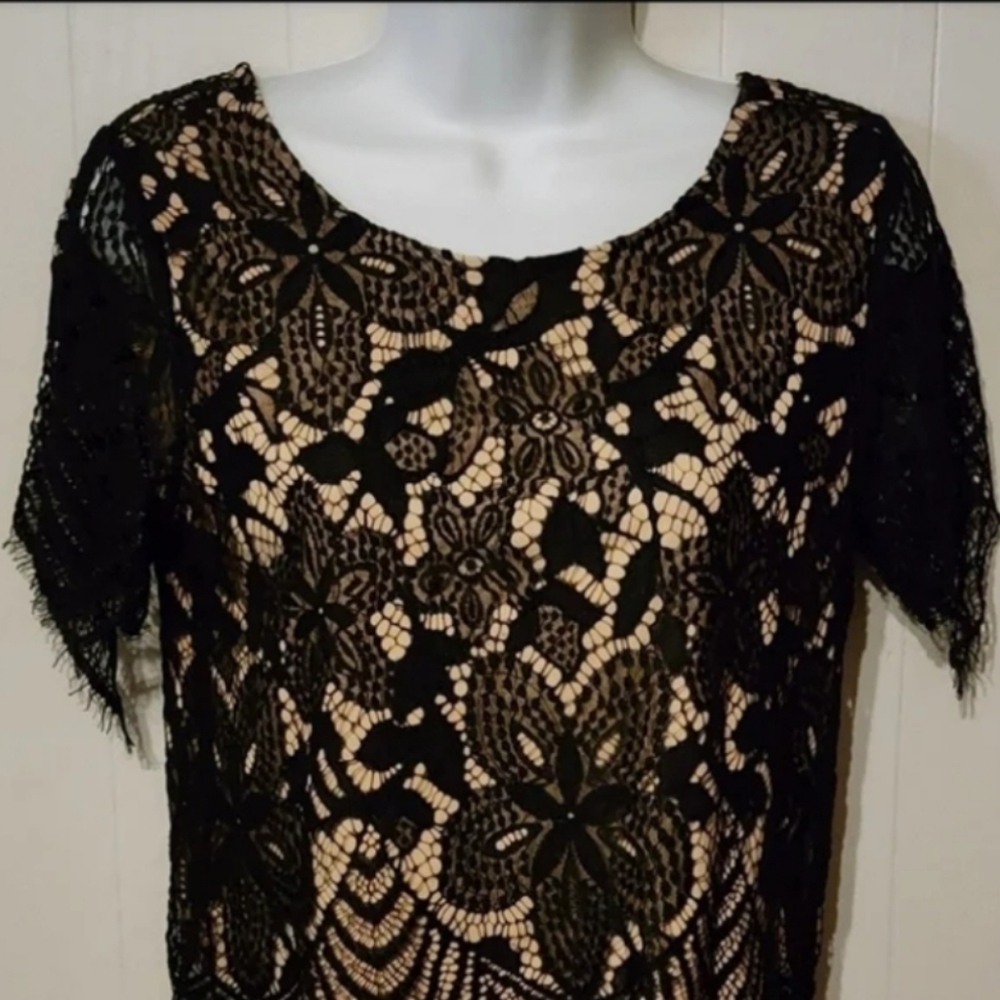 Tan Black Short Sleeve Top Small‎ Express A220